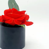 Flowers With Pots - Red Rose - Him & Her - Set of 2