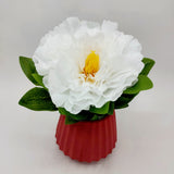 Flowers With Pots - Large White Mangolian - Brick Red Pot