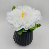 Flowers With Pots - Large White Mangolian - Black Pot