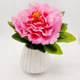 Flowers With Pots - Large Pink Mangolian - White Pot