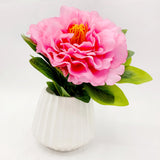 Flowers With Pots - Large Pink Mangolian - White Pot