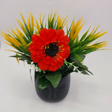 Flowers With Pots - Mona Lisa Sunflower - Black Pot