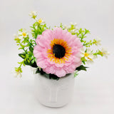 Flowers With Pots - Flowers with Pot - Mona Lisa Sunflower - White