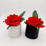 Flowers With Pots - Red Rose - Him & Her - Set of 2