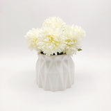 Flower With Pots - White Peony With White pots