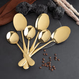 Rice & Curry Serving Spoons Set Golden Qareenay Manzil® Branded with 5 Year Warranty