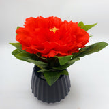 Flowers With Pots - Large Red Mangolian - Black Pot