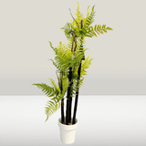 Artificial Fern Plant