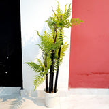 Artificial Fern Plant