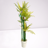 Artificial Fern Plant