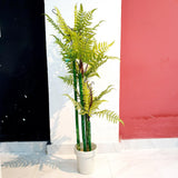 Artificial Fern Plant