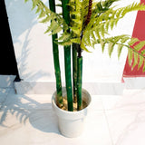 Artificial Fern Plant