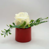 Flowers With Pots - White Rose Flower With Cherry Red Pot - 1 Piece