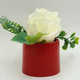 Flowers With Pots - White Rose Flower With Cherry Red Pot - 1 Piece