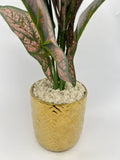 Golden Color Plant pot for Home Decore