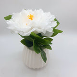 Flowers With Pots - Large White Mangolian - White Pot