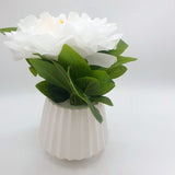 Flowers With Pots - Large White Mangolian - White Pot