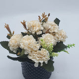 Flowers With Pots - White Hydrangea - Black Pot